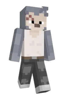 SODFI Minecraft avatar full body
