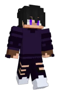 SOINHOGM Minecraft avatar full body