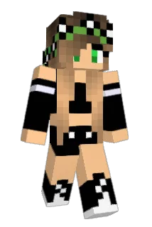 SOMEIJJANG Minecraft avatar full body