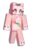 SOY20N Minecraft avatar full body