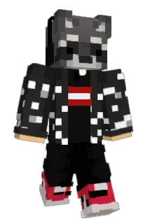 SPEEDSTER_54 Minecraft avatar full body