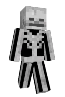 SQUIRTLE420 Minecraft avatar full body