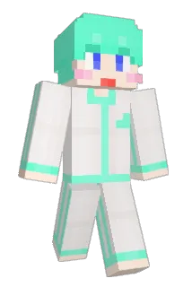 SR213 Minecraft avatar full body