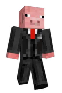 SRDNSVV Minecraft avatar full body