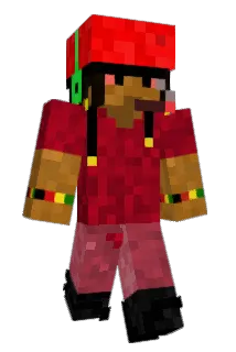 SRDOKIDOKI Minecraft avatar full body