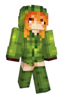 SR_B4RT Minecraft avatar full body