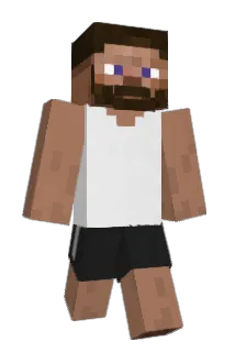 SSIOAllesOderNix Minecraft avatar full body