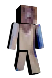 SSalamiLid Minecraft avatar full body