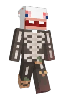 SSonar Minecraft avatar full body