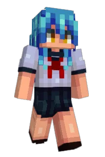 SSson Minecraft avatar full body