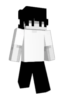 SSupportingThat Minecraft avatar full body