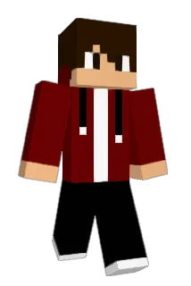 ST3RG3 Minecraft avatar full body