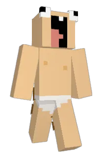 ST43RR Minecraft avatar full body