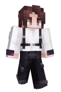 STE4DY25 Minecraft avatar full body