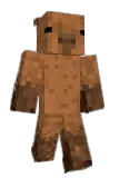 STEVB Minecraft avatar full body