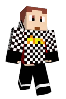 STR245 Minecraft avatar full body