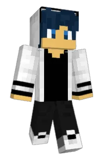 STWD4 Minecraft avatar full body