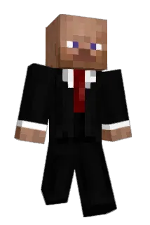 STeFa96 Minecraft avatar full body