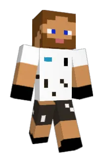 STlNGz Minecraft avatar full body