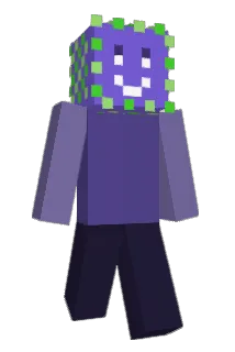 SUMTAS Minecraft avatar full body