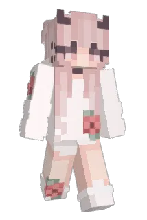 SWEAR21036165 Minecraft avatar full body