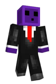 SY343 Minecraft avatar full body