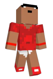 SYFBAUN Minecraft avatar full body