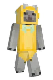 SZEFPL Minecraft avatar full body