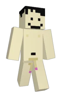 SZTYM0 Minecraft avatar full body