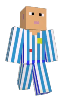 S_010 Minecraft avatar full body