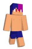S_312 Minecraft avatar full body