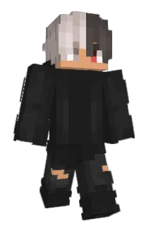 S_FLeX Minecraft avatar full body