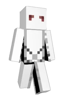 S_SOI Minecraft avatar full body