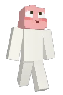 S_UBI Minecraft avatar full body
