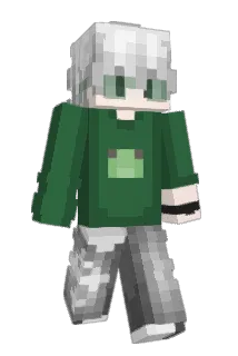 S_sh1 Minecraft avatar full body