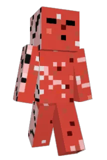 Sa1iami Minecraft avatar full body