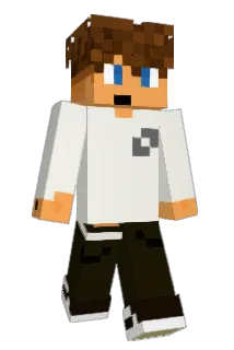 Sa1ter Minecraft avatar full body