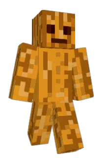 SaLt243 Minecraft avatar full body