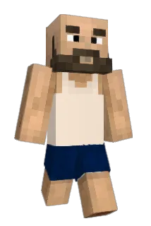 Saanderr Minecraft avatar full body