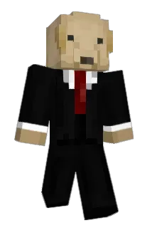 SabesT581 Minecraft avatar full body