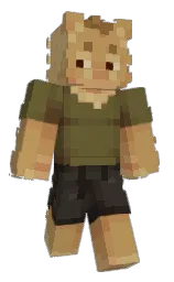 Custom render preview