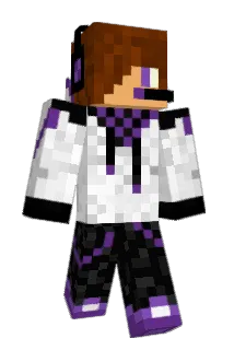 Sachter Minecraft avatar full body