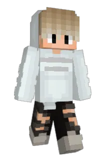 Sachverhalt Minecraft avatar full body