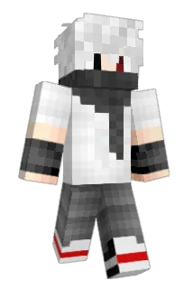 Sackanator Minecraft avatar full body