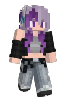 Sadintop Minecraft avatar full body