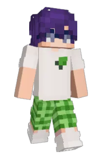 SadlyBorger Minecraft avatar full body