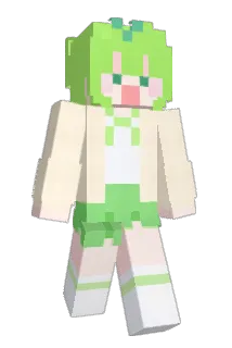 SaeSsakii Minecraft avatar full body