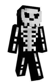 Saeins08 Minecraft avatar full body