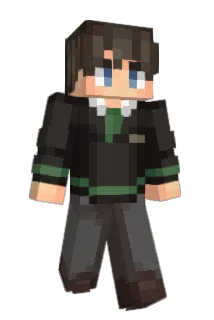 Saelum51 Minecraft avatar full body