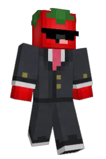SafeTomato Minecraft avatar full body